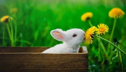 理性追星！奥纳纳推开想与他合影的球迷，但被另一人丢水瓶